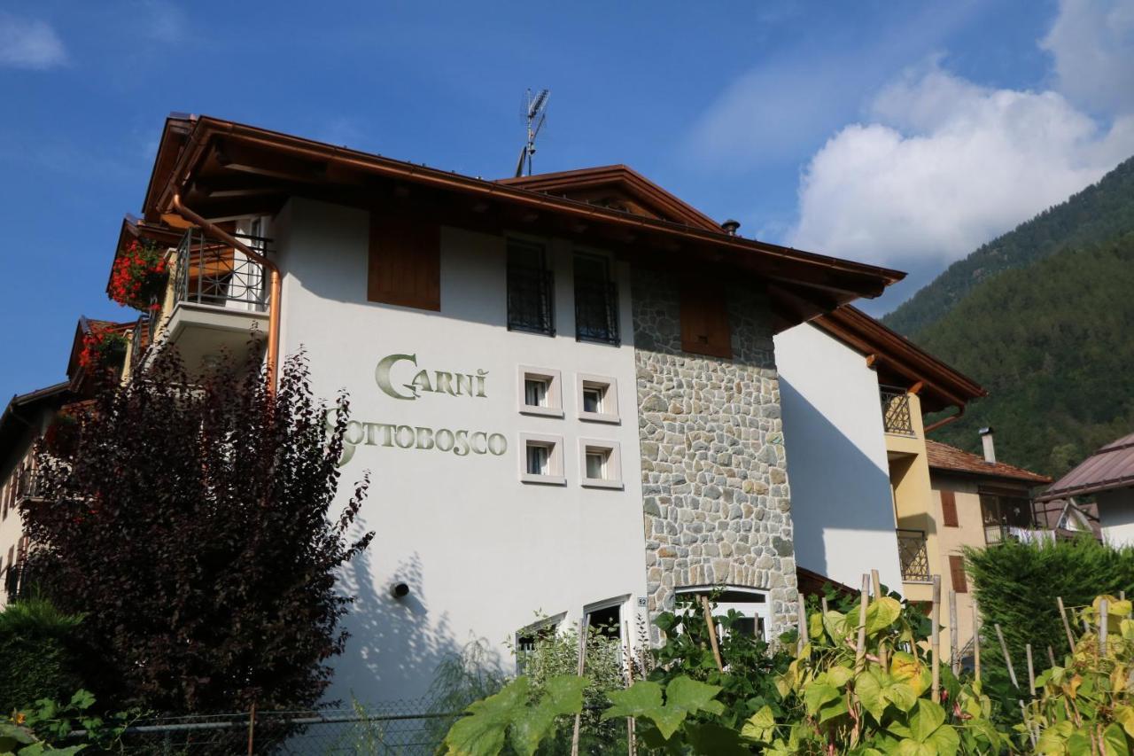 Hotel Garni Sottobosco Dimaro Exteriör bild